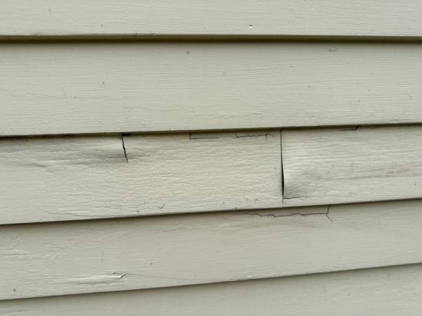 ### Historical Building Siding Restoration in Shannon, MS